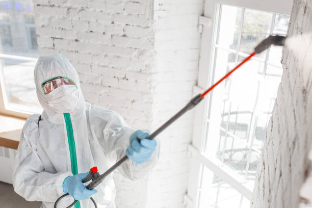 Best Indoor Air Quality Assessment  in Anthony, NM