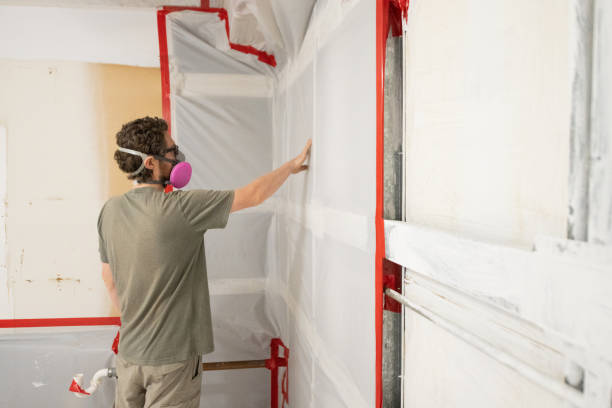 Anthony, NM Mold Removal Company