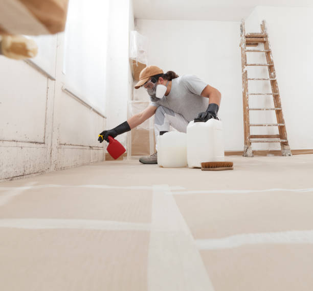 Best Basement Mold Removal  in Anthony, NM